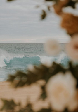 About Paula Jimenez event planning
